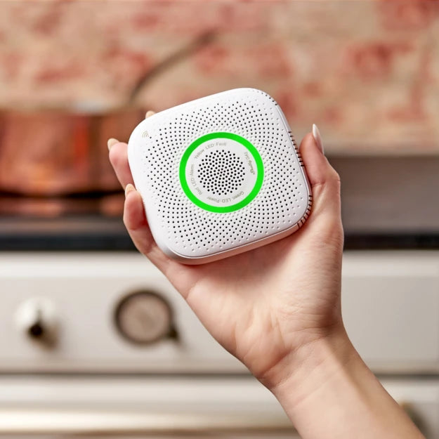 Shelly GAS CNG - SMARTBLU