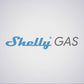 Shelly GAS CNG